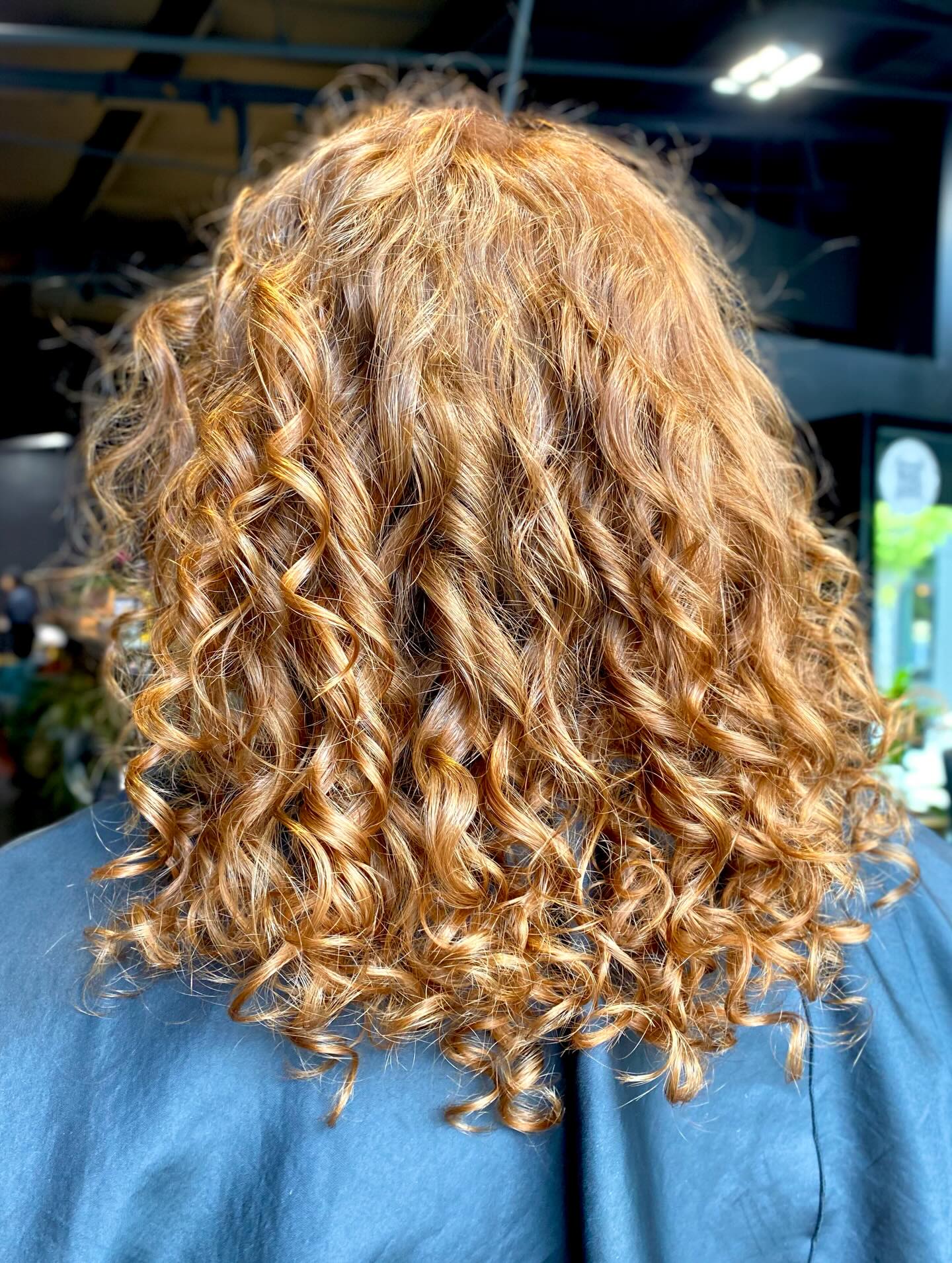 Curly copper color by Mary Elizabeth Brooks